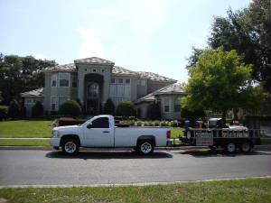 roof cleaning tampa florida 2