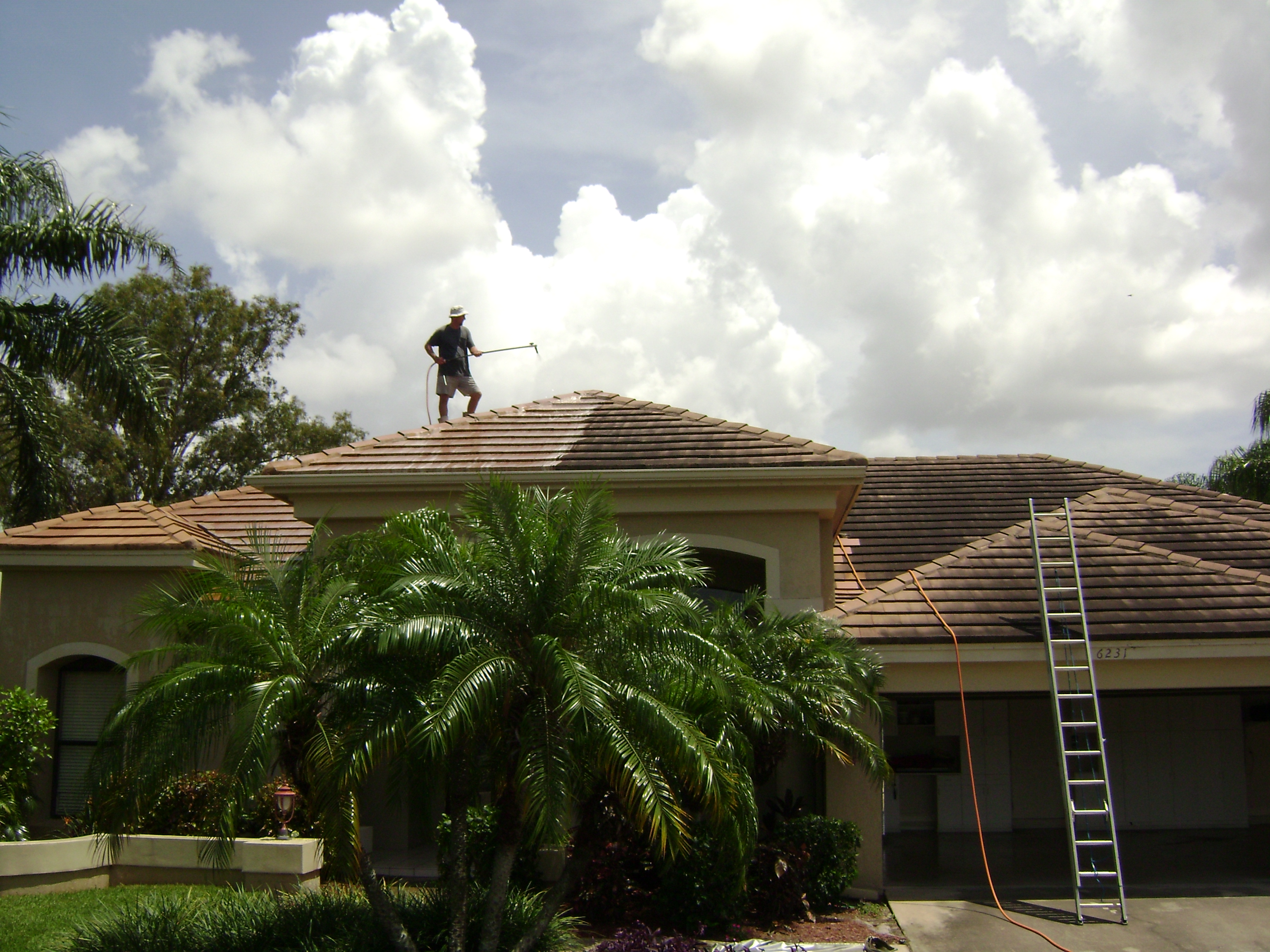 ROOF-CLEANING-TAMPA.JPG